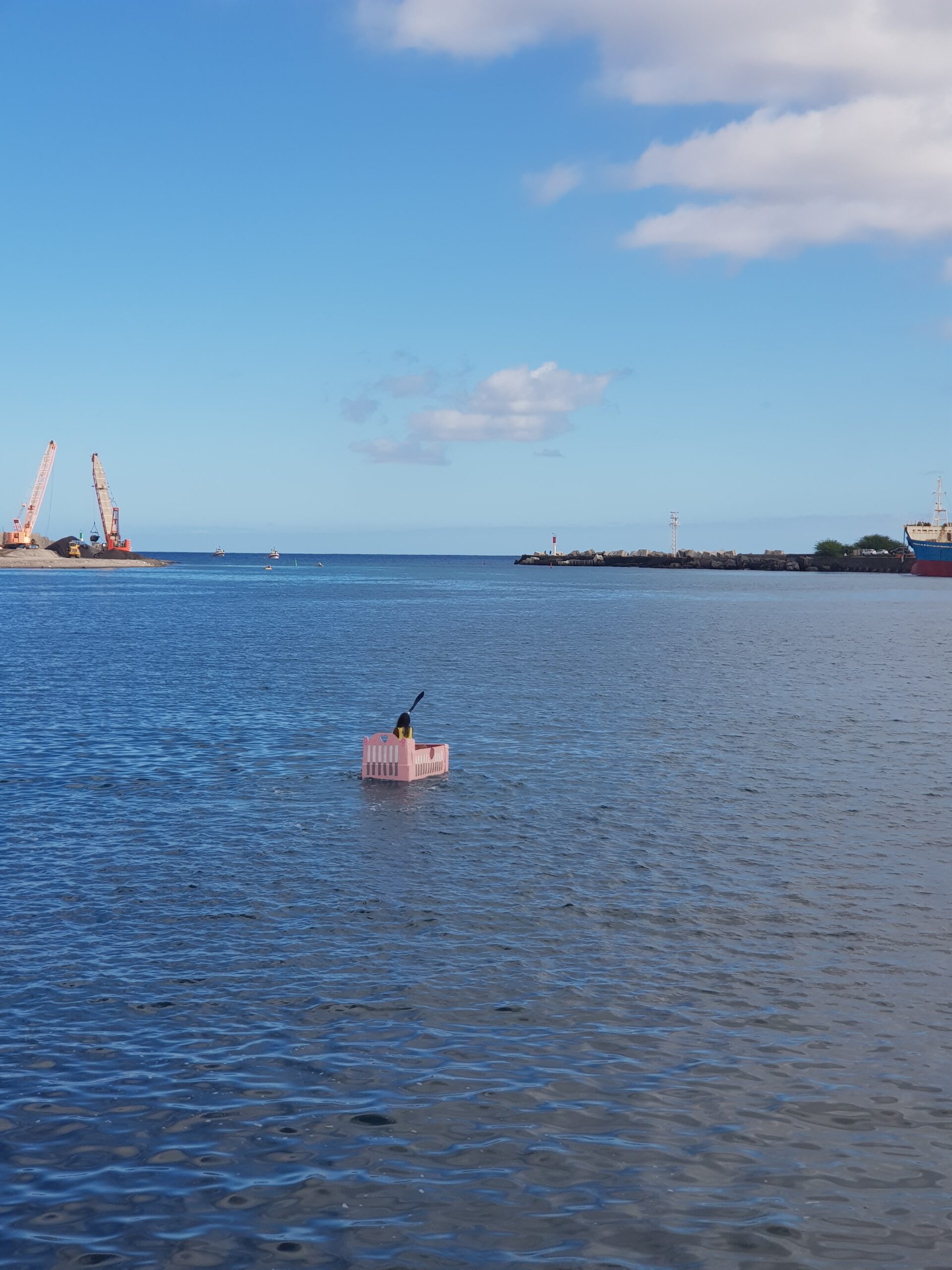L’attractivité des métiers maritimes à La Réunion, une mission pour le Cluster